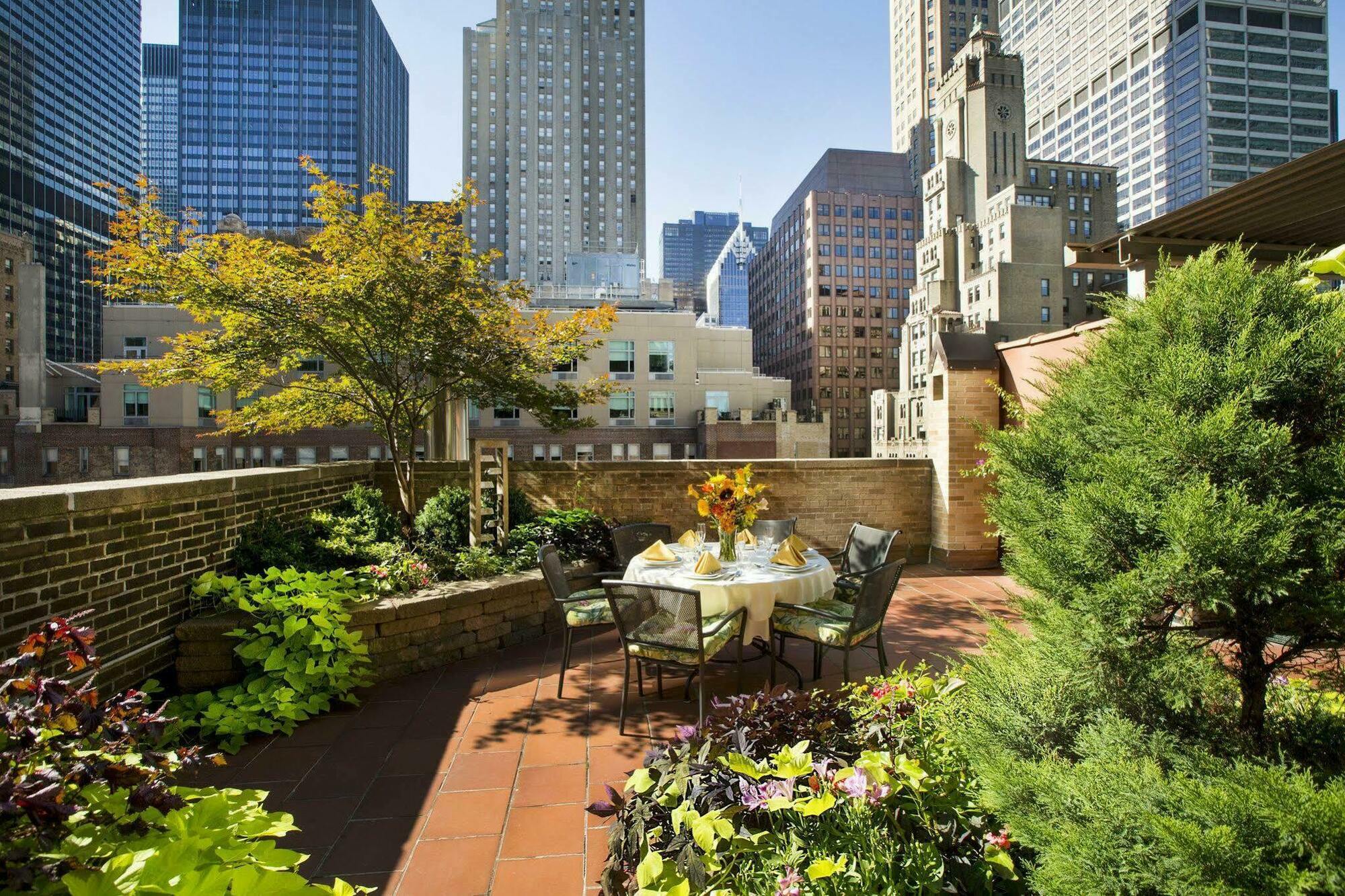 San Carlos 4* Nueva York